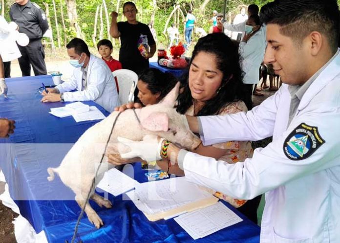 Foto: ¡Feria animal en Granada: Un regalo especial en el Día del Padre! / Cortesía