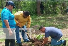 Foto: Reforestación en Tecnológico Agropecuario de Nandaime / TN8