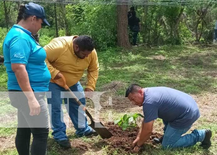 5 Foto: Reforestación en Tecnológico Agropecuario de Nandaime / TN8
