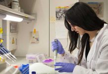 Cientificos buscan nuevas soluciones para la endometriosis Científicos buscan nuevas soluciones para la endometriosis