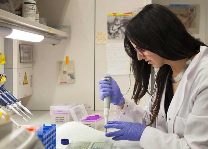 5 Científicos buscan nuevas soluciones para la endometriosis