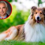 ¡Aberrante! Profesor de EE.UU. es capturado por abusar sexualmente de su perro Profesor es despedido por abusar de su perro en EE.UU.