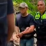 Mató a una turista tras un ataque sexual en el “castillo de la Cenicienta" en Alemania