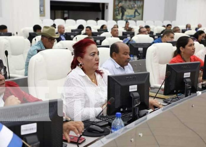 Foto: Sesión parlamentaria de la Asamblea Nacional, donde se abordaron los acuerdos con Irán / TN8