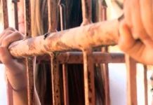 Arrestan a mujer por torturar a su hijo en Austria ¡lo enjaulaba como perro! Arrestan a mujer por torturar a su hijo en Austria ¡lo enjaulaba como perro!