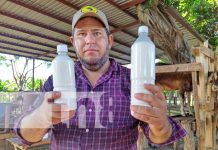 ¿Te gusta la leche de cabra? Desde Mateare la preparan en distintas formas Foto: Producción de leche de cabra en Mateare / TN8