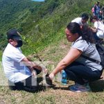 Foto: Reforestación de la península de Chiltepe / TN8