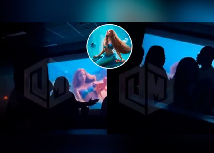 Captan a calenturientos haciendo 'el sin respeto' dentro de una sala de cine