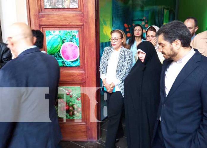Foto: Interés de Irán en fortalecer intercambio cultural con Nicaragua / TN8