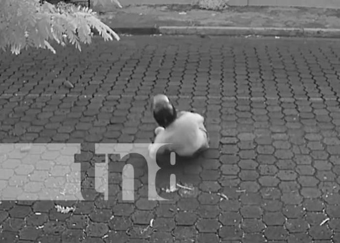 Foto: Motorizado casi pierde la vida al estrellarse en el sector de Don Bosco, Managua / TN8