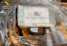 Cae en España organización criminal que traficaba cocaína oculta entre bananas Cae en España organización criminal que traficaba cocaína oculta entre bananas