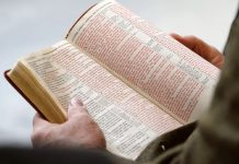 ¿Blasfemia? En Utah vetan la Biblia por contenido de incesto, prostitución y violación ¿Blasfemia? En Utah vetan la Biblia por contenido de incesto, prostitución y violación