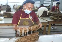 Puros en Estelí: Repunte económico y de producción en el norte del país Foto: Estelí sigue repuntando con las fábricas de puros / TN8