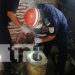 Foto: Encuentran un feto en una letrina en El Sauce, León / TN8