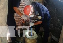 ¡Espantoso! Recuperan feto de una letrina en El Sauce, León Foto: Encuentran un feto en una letrina en El Sauce, León / TN8
