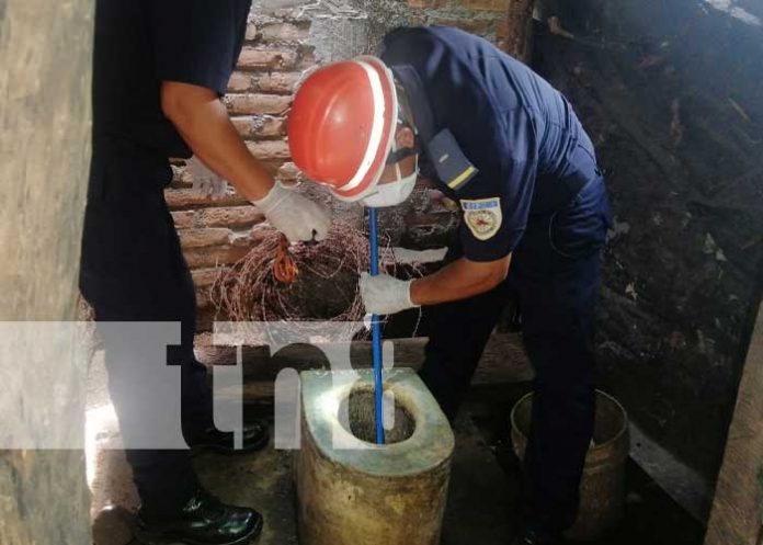 fetus-1 Foto: Encuentran un feto en una letrina en El Sauce, León / TN8