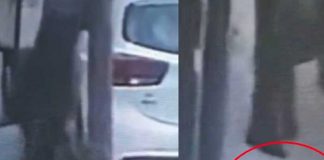 Hombre de México mata a indefenso gatito 