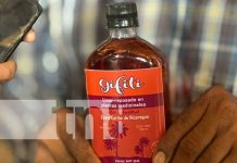 Gifiti, licor ancestral que revive la «llama de la pasión» en las parejas Foto: Gifiti, licor ancestral del Caribe de Nicaragua / TN8