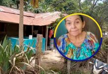 ¡A machetazos! Acabo con la vida de su propia ‘madrecita’ en Honduras ¡A machetazos! Acabo con la vida de su propia 'madrecita' en Honduras