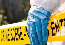 Halló tres cabezas humanas en su escritorio ¡Por quejarse de su trabajo! Le dejan tres cabezas desmembradas en su escritorio por quejarse de su trabajo