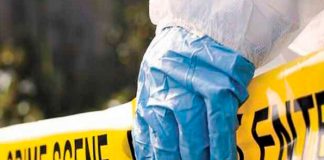 Le dejan tres cabezas desmembradas en su escritorio por quejarse de su trabajo