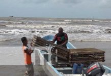 Capacitación: Se acerca nueva temporada de langosta en el Caribe Foto: Se viene temporada de pesca de langosta en el Caribe / TN8