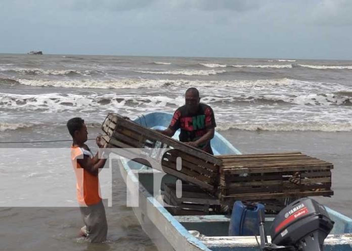 Foto: Se viene temporada de pesca de langosta en el Caribe / TN8