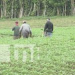 Foto: Convocan a empresas a concurso de la Producción Más Limpia en Nicaragua / TN8