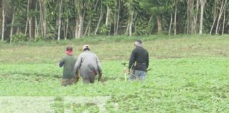 Foto: Convocan a empresas a concurso de la Producción Más Limpia en Nicaragua / TN8
