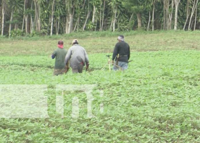 limp-prod-1 Foto: Convocan a empresas a concurso de la Producción Más Limpia en Nicaragua / TN8