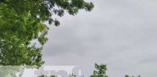 Foto: INETER brinda reporte de clima en Nicaragua / TN8