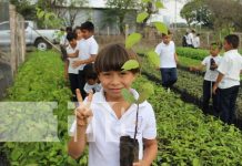Nuevo vivero en Nandaime con 36 mil plantas de diferentes especies Foto: Nuevo vivero en Nandaime / TN8