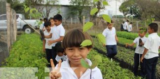 Foto: Nuevo vivero en Nandaime / TN8