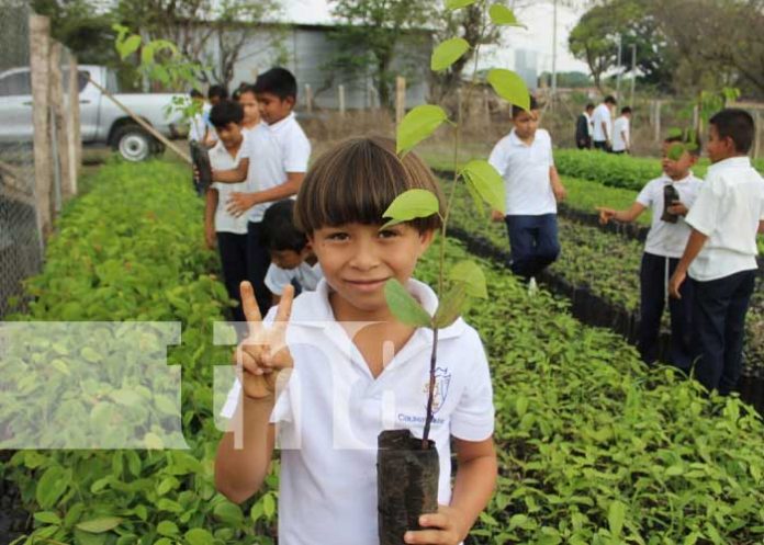 mar-nan-2 Foto: Nuevo vivero en Nandaime / TN8