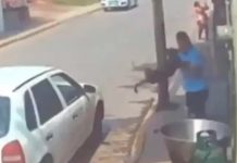 ¡Indignante! Despiadado tiró a ‘perrito’ en una paila con aceite hirviendo en México ¡Indignante! Despiadado tiró a perrito en paila con aceite hirviendo en México