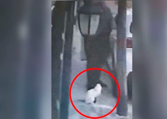 ¡Sin piedad! Hombre le pega un 