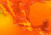 ¡Se ‘chicharronea’ México! Infernal ola de calor deja seis muertos ¡Arde México! Infernal ola de calor deja a seis personas muertas