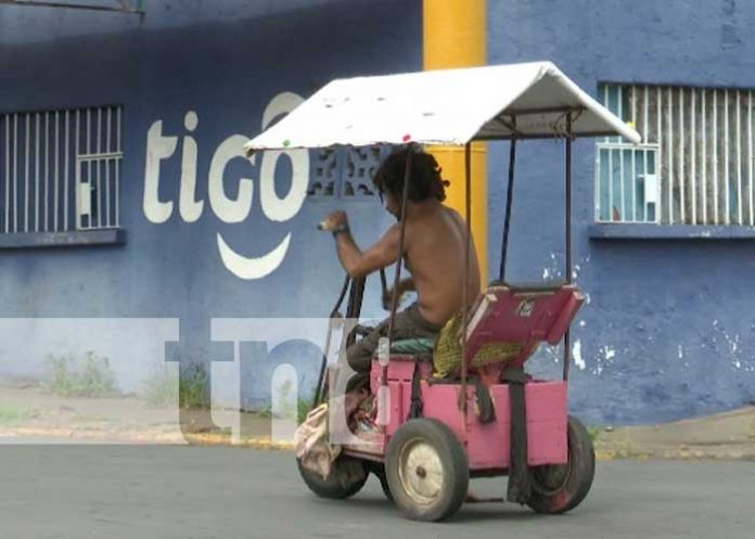 Foto: Acusan a hombre en el sector de San Judas de cometer actos obscenos / TN8