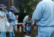 Ante la llegada del invierno aceleran las jornadas contra el mosquito en Managua Foto: Trabajo del MINSA en puntos de Managua / TN8