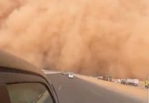 Apocalíptica tormenta de arena dejó varios muertos en Egipto e Israel