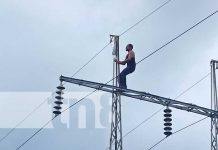 Locuritas: «El Ocho» sube peligrosa torre de alta tensión en Bello Horizonte Foto: "El Ocho" y su extraña afición de subir una torre en Bello Horizonte / TN8