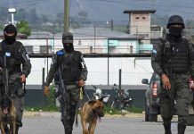 Operativos en Honduras: «Pacificación» y decomiso de armas en cárceles Foto: Decomiso de armas en cárceles de Honduras