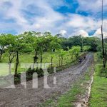 Mejoran caminos rurales en Filas Verdes para la producción en Boaco Foto: Nuevos caminos rurales para Boaco / TN8