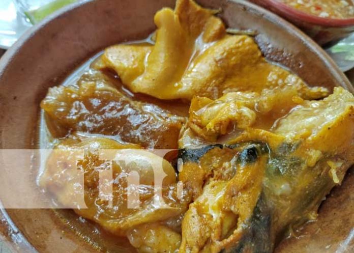 sopa-mon-2 Foto: Sopa de mondongo en Masatepe / TN8