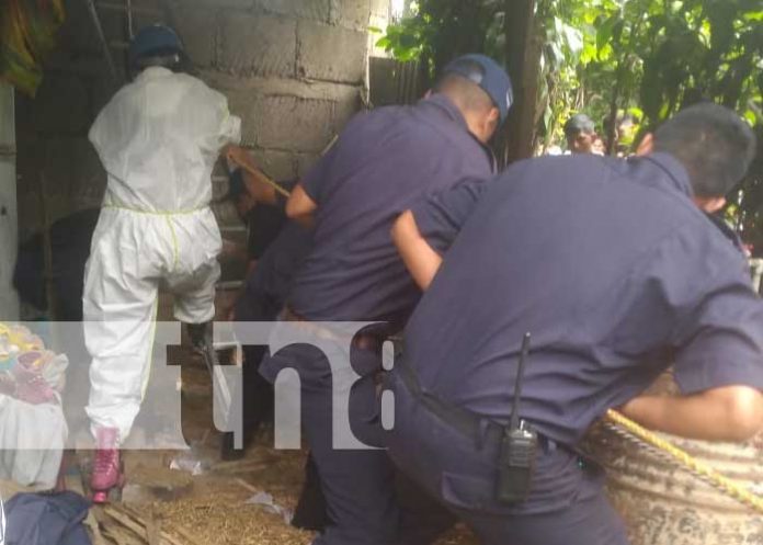 sumis-1 Foto: Hombre muere al caer en un sumidero en La Concepción, Masaya / TN8