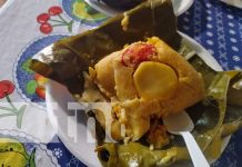 ¿Ya conocés la tamuga? Una delicia nica que se elabora en Masatepe Foto: Tamuga, una delicia desde Masatepe / TN8