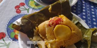 Foto: Tamuga, una delicia desde Masatepe / TN8