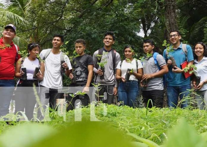 Foto: Inauguran vivero interinstitucional en Madriz / TN8