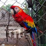 Familias disfrutan paseo por el Zoológico Nacional donde hay impresionantes animales Zoológico Nacional, una aventura que no puedes perder
