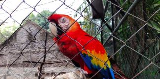 Zoológico Nacional, una aventura que no puedes perder
